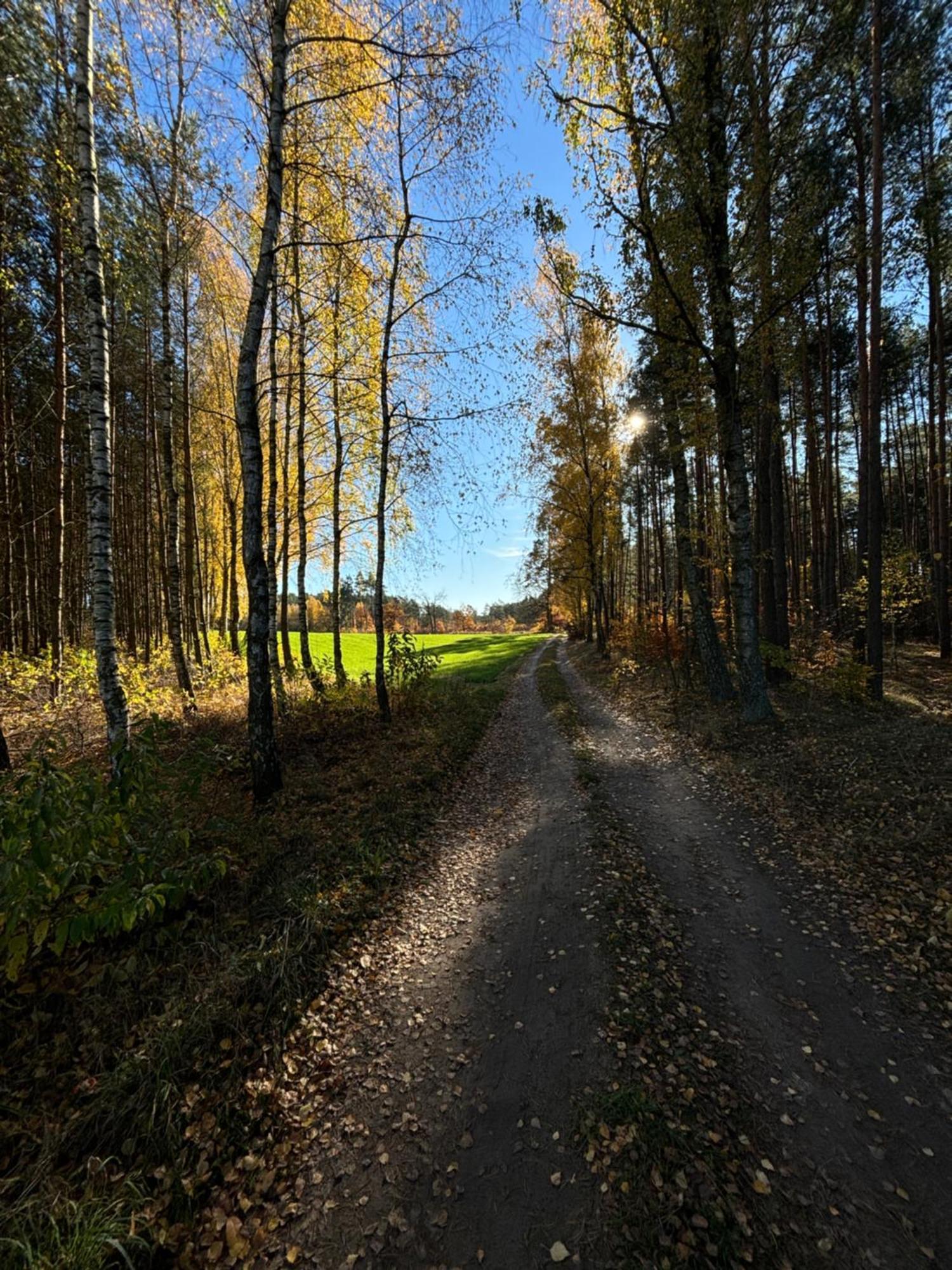 Folwark Minikowo - Agroturystyka W Borach Tucholskich - 5 Pokoi Z Prywatnymi Lazienkami Byslaw Exterior photo