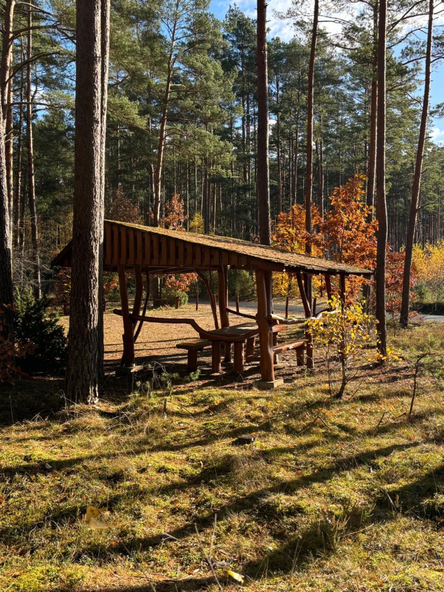 Folwark Minikowo - Agroturystyka W Borach Tucholskich - 5 Pokoi Z Prywatnymi Lazienkami Byslaw Exterior photo